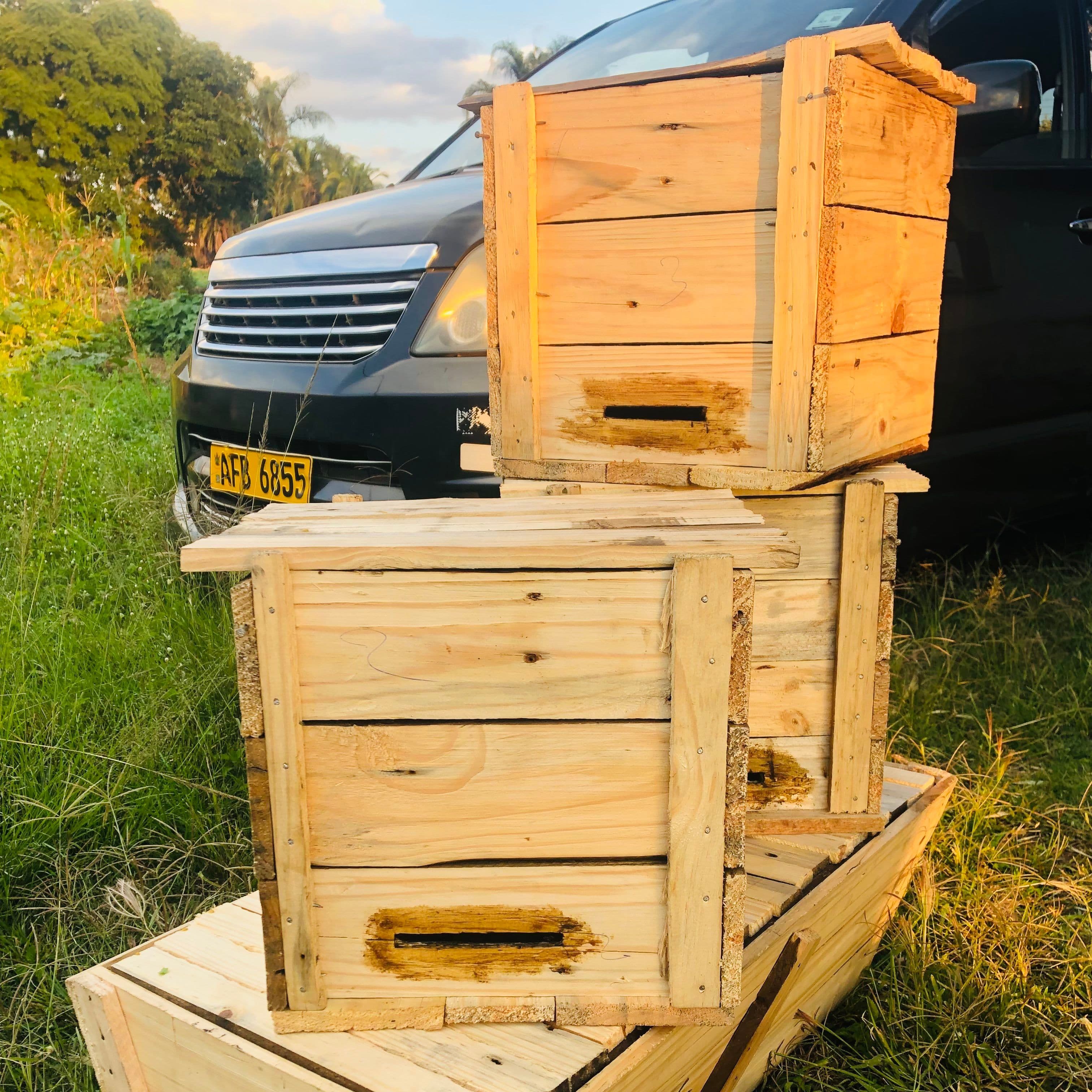 Catching Box Complete